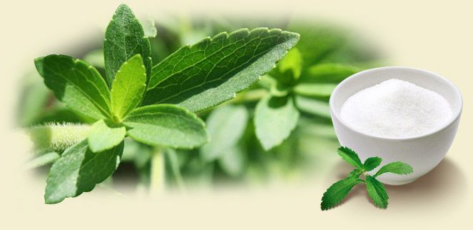 ¿Qué es la Stevia?